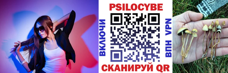 Купить где  Завитинск  Псилоцибиновые грибы Psilocybe 